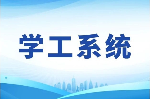 学工系统